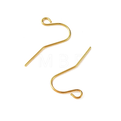 Iron Earring Hooks RN-CBA973B-10B-G-1