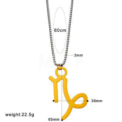 Punk Style 304 Stainless Steel Twelve Constellations Pendant Necklaces with Stainless Steel Tone Box Chains WGE8D8E-04-1