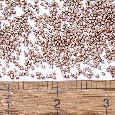 MIYUKI Delica Beads X-SEED-J020-DB1165-1