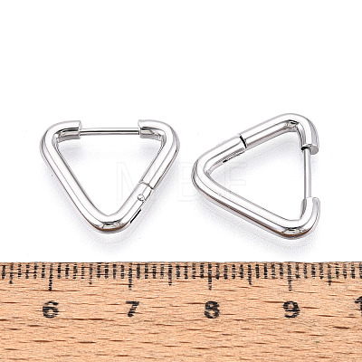 304 Stainless Steel Hoop Earrings STAS-T074-20P-1