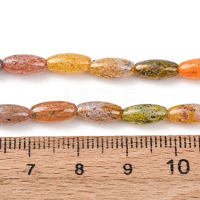 Handmade Lampwork Beads LAMP-B051-02B-1