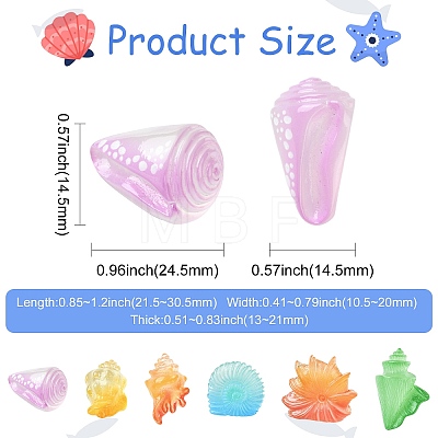 30Pcs 6 Styles Luminous Resin Conch Display Decorations DJEW-CJ0001-37-1
