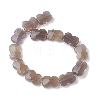 Natural Grey Agate Beads Strands G-K359-D03-01-1