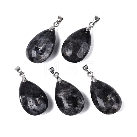 Natural Larvikite Pendants G-N362-03P-01-1