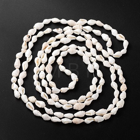 Natural Sea Shell Conch Bead Strands X-BSHE-O009-06-1