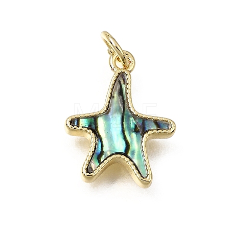 Brass & Natural Shell Pendants SH-CBA7C77-02A-G-1