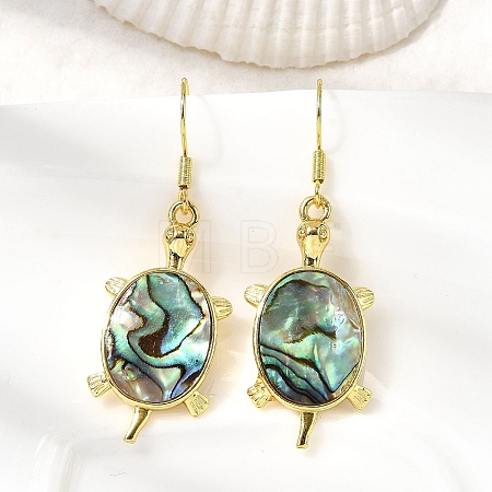 Brass Natural Paua Shell Dangle Earrings EJEW-M060-19A-G-1