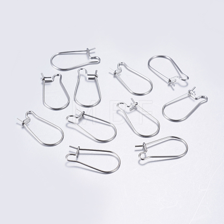 Tarnish Resistant 304 Stainless Steel Hoop Earrings STAS-L198-15B-P-1