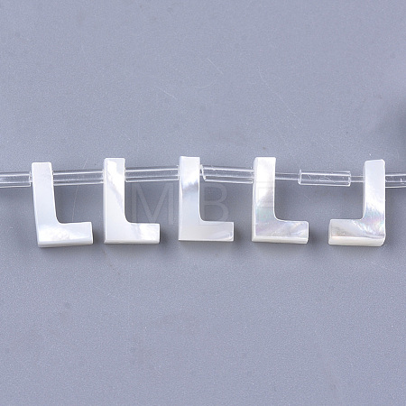 Natural Sea Shell Beads SHEL-T012-60L-1