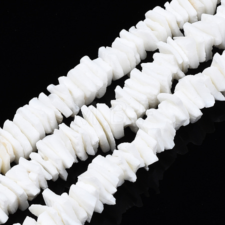 Natural White Shell Beads Strands X-SSHEL-S266-029-1