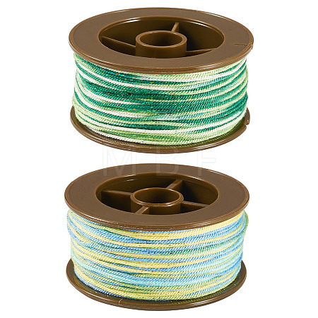2 Rolls 2 Colors Segment Dyed Round Polyester Twisted Cords OCOR-TA0003-59A-1