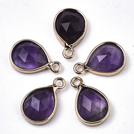 Natural Amethyst Charms X-G-N326-50B-1