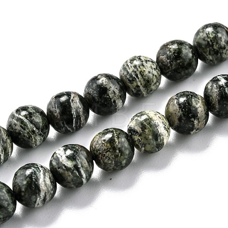 Natural Green Zebra Jasper Beads Strands G-O199-05A-1
