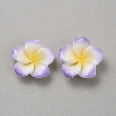 Two Tone Resin Cabochons LS-RESI-WH20010-01A-1