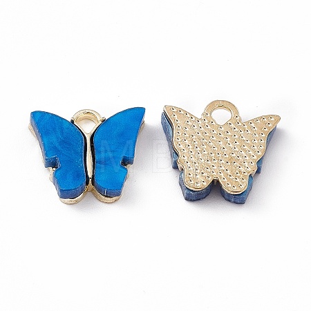 Acrylic Charms MACR-C012-01KCG-16-1