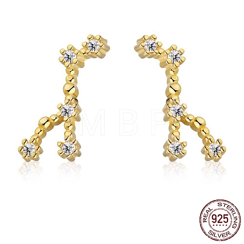 Cubic Zirconia Constellation Stud Earrings EJEW-P231-90G-07-1