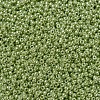 MIYUKI Round Rocailles Beads X-SEED-G007-RR0439-3