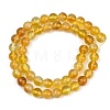 Handmade Lampwork Beads Strand LAMP-B056-8mm-07-3