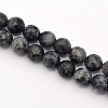 Faceted Round Natural Larvikite Beads Strands G-E302-083-8mm-1