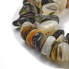 Natural Black Lip Shell Beads Strands BSHE-G038-04-4