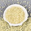 FGB Grade A Frosted Glass Seed Beads SEED-Q040-04A-10-3