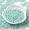 Opaque Colours Luster Glass Seed Beads SEED-B001-01A-08-2