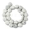 Natural Howlite Beads Strands G-K365-B14-03-3
