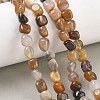 Natural Petrified Wood Beads Strands GG-CBA9392-31-1