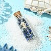 Transparent Glass Wishing Bottle Decoration PALLOY-JF03370-01-3