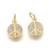 Brass Micro Pave Cubic Zirconia Charms ZIRC-J021-02G-RS-1