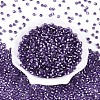 Silver Lined Glass Seed Beads SEED-T007-18A-09-2
