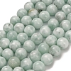 Glass Beads Strands G-L642-B18-12mm-2