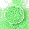 6/0 Luminous Glass Seed Beads SEED-NH0001-01H-3