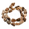 Raw Rough Natural Picture Jasper Beads Strands GG-CBA0B77-A08-01-5