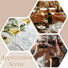 24Pcs 12 Colors Transparent Acrylic with Brass Bead Glass Wine Glass Charms AJEW-ME00021-4