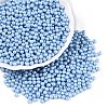 Glass Seed Beads SEED-T007-01N-3