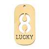 304 Stainless Steel Pendants STAS-D200-02I-G-1