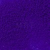 TOHO Round Seed Beads SEED-TR11-0008F-2