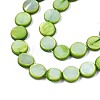 Freshwater Shell Beads Strands X-SHEL-T009-B16-04-3