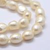 Natural Cultured Freshwater Pearl Beads Strands PEAR-K004-03C-01-3