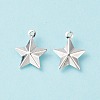 304 Stainless Steel Pendants STAS-I138-12S-3
