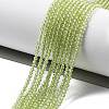 Natural Peridot Beads Strands X-G-B107-A06-01A-2