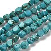 Natural Turquoise Beads Strands G-P497-01E-91-1