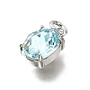Brass Glass Charms KK-V011-33P-2