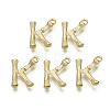 Alloy Pendants PALLOY-S137-001K-NR-2