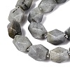 Natural Labradorite Beads Strands G-Q608-11E-4