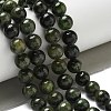 Natural Green Diopside Beads Strands G-K382-B01-03-2