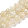 Natural White Moonstone Beads Strands LS-G-F306-05AB-10mm-01-2