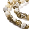 Natural Freshwater Shell Beads Strands BSHE-S304-03-3