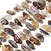 Natural Botswana Agate Beads Strands G-L649-A06-01-2